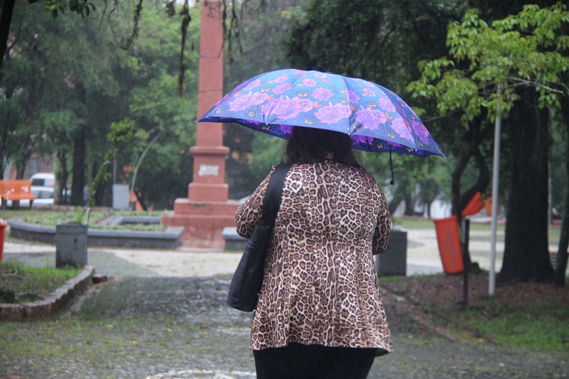 PREVISÃO DO TEMPO: Centro de baixa pressão intensifica chuva na região; frio ganhará força