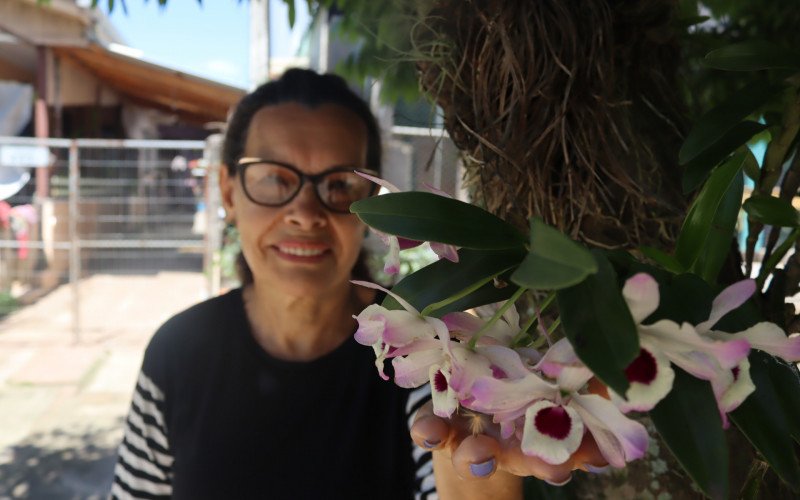 Orquídeas transformam Campo Bom em uma cidade florida. Na foto, a aposentada Rosa Maria cuida de suas flores