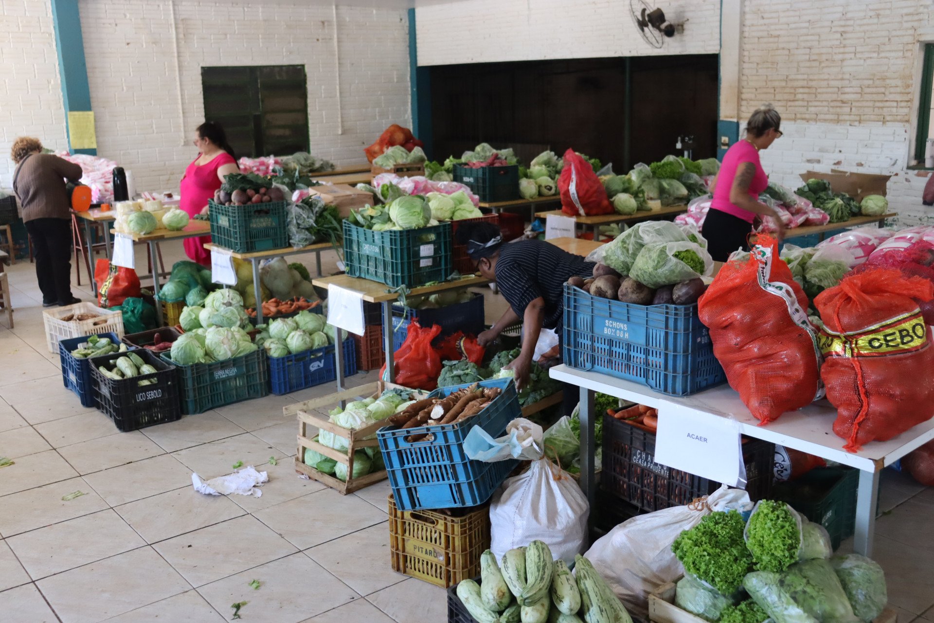 Entregas de alimentos da Conab ajudam cozinhas sociais leopoldenses