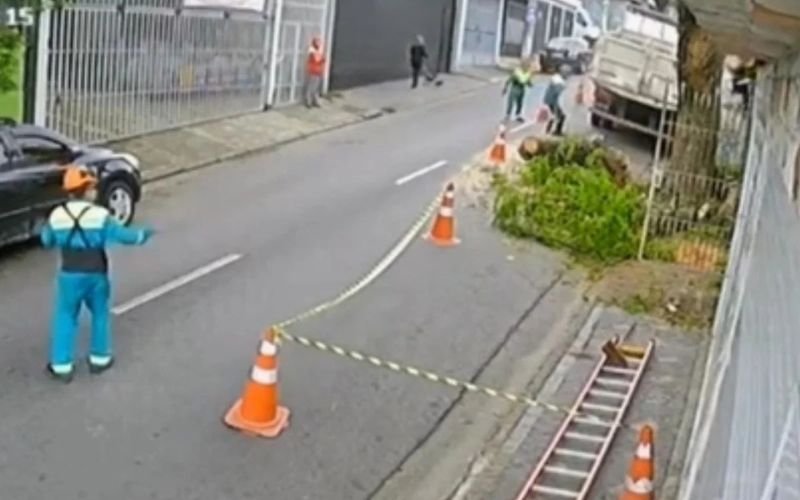 Funcionário morre prensado por tronco de árvore durante poda