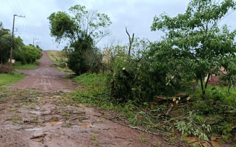 Estragos causados pelo tempo severo em Palmeira das Missões | abc+