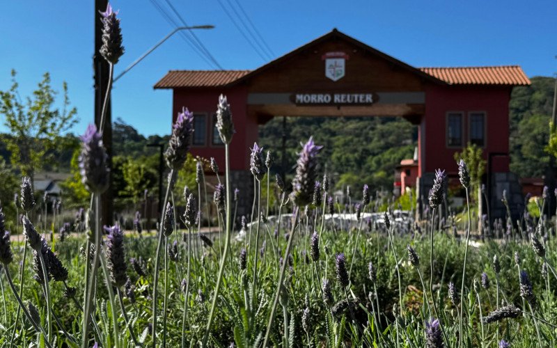 Inscrições para o cuncurso público de Morro Reuter seguem abertas até dia 29 de maio | abc+