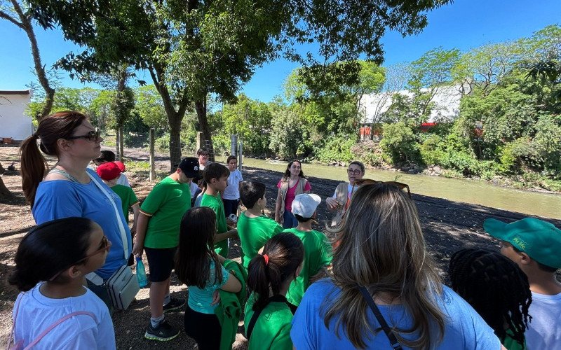 Estudantes de Igrejinha plantam árvores às margens do Rio Paranhana para ajudar na recuperação da encosta após as enchentes de 2024