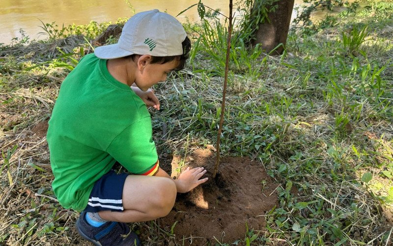Estudantes de Igrejinha plantam árvores às margens do Rio Paranhana para ajudar na recuperação da encosta após as enchentes de 2024 | abc+