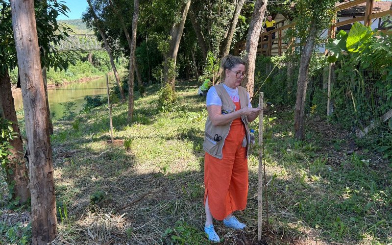 Estudantes de Igrejinha plantam árvores às margens do Rio Paranhana para ajudar na recuperação da encosta após as enchentes de 2024