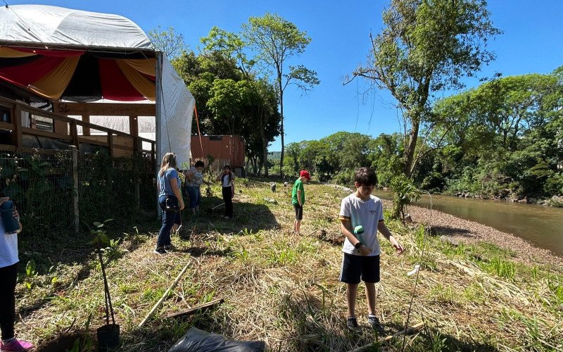 Estudantes de Igrejinha plantam árvores às margens do Rio Paranhana para ajudar na recuperação da encosta após as enchentes de 2024