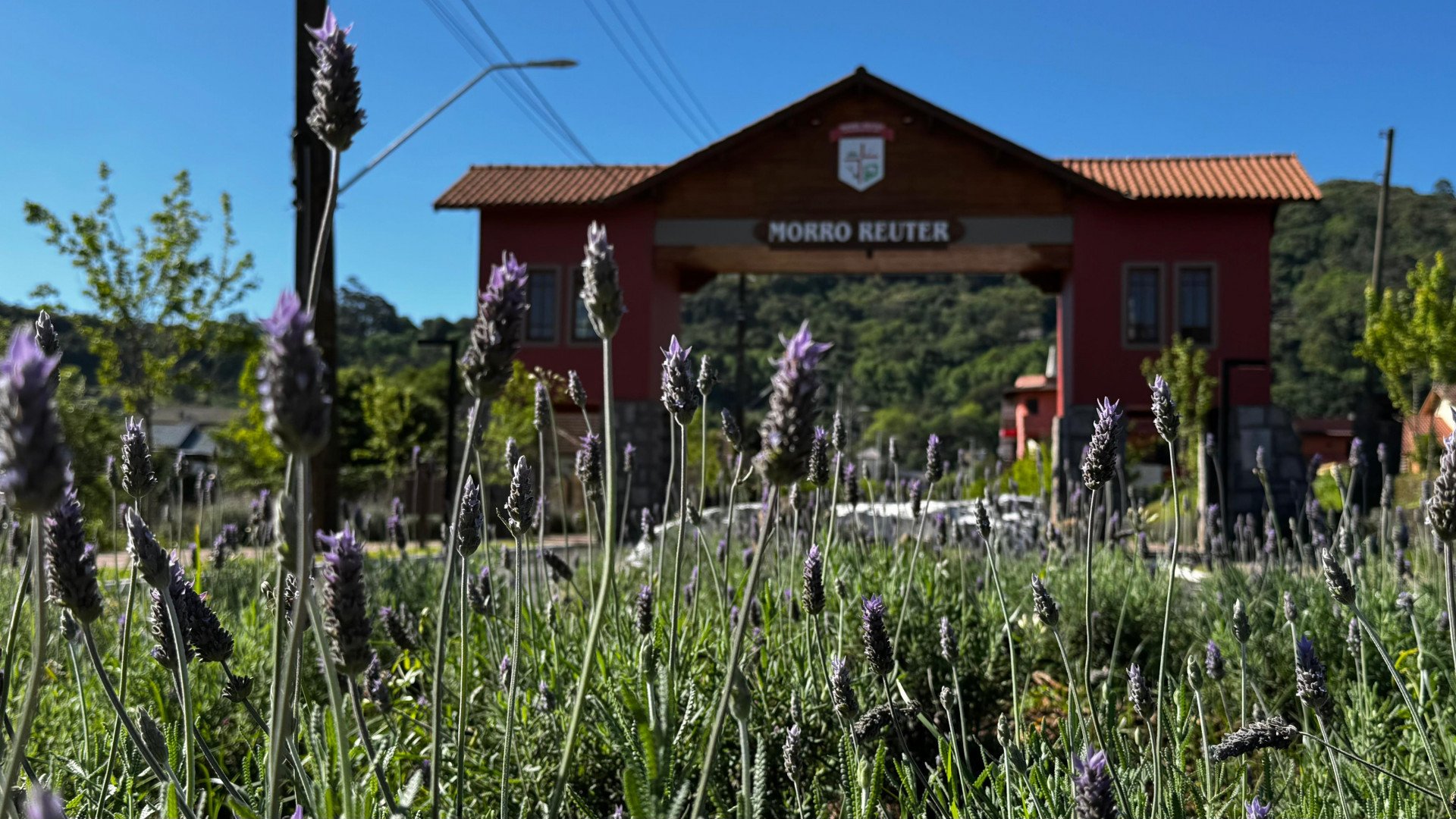 Últimos dias: Concurso da Prefeitura de Morro Reuter oferece salários de até R$ 5,8 mil e vale-alimentação de R$ 670