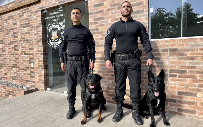 Atuação de cães treinados em Canela auxilia no trabalho dentro dos presídios da região
