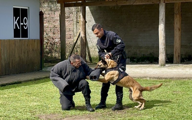 Atuação de cães treinados em Canela auxilia no trabalho dentro dos presídios da região