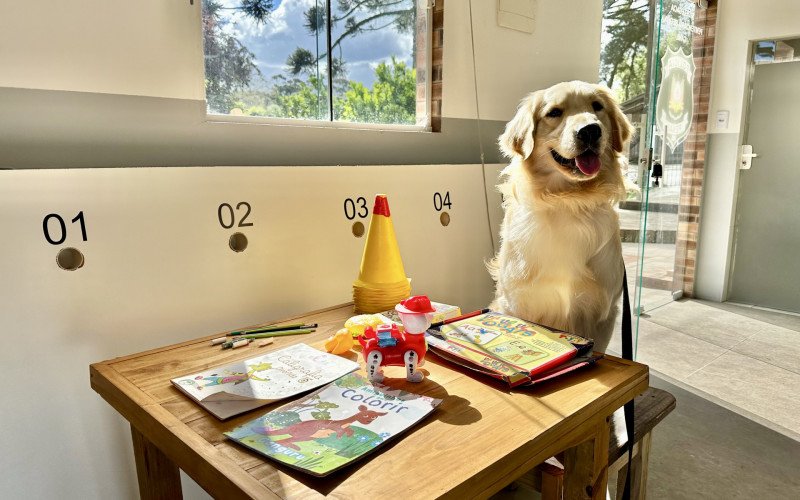 Atualmente, há quatro cães sendo treinados no canil, localizado no presídio canelense