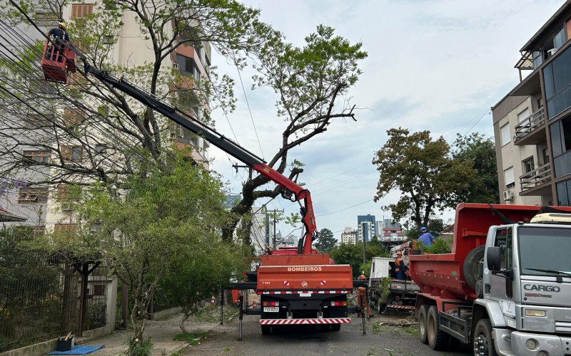 Corte de árvore que ameaçava cair sobre casa provoca bloqueio de rua em Novo Hamburgo   | abc+