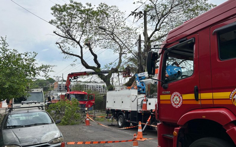 Corte de árvore que ameaçava cair sobre casa provoca bloqueio de rua em Novo Hamburgo   | abc+