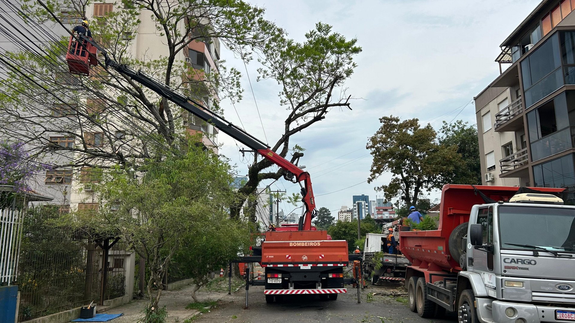 Corte de árvore que ameaçava cair sobre casa provoca bloqueio de rua em Novo Hamburgo