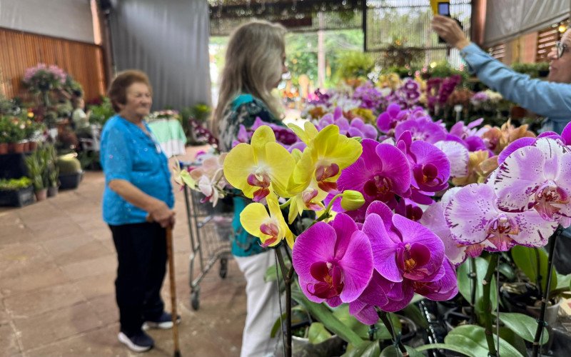 Exuberância das flores encanta o Núcleo de Casas Enxaimel