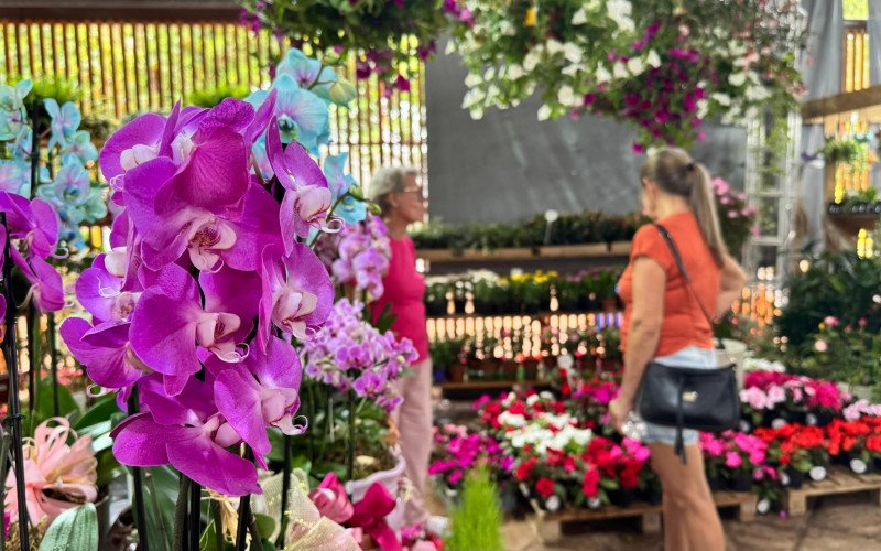 Exuberância das flores encanta o Núcleo de Casas Enxaimel