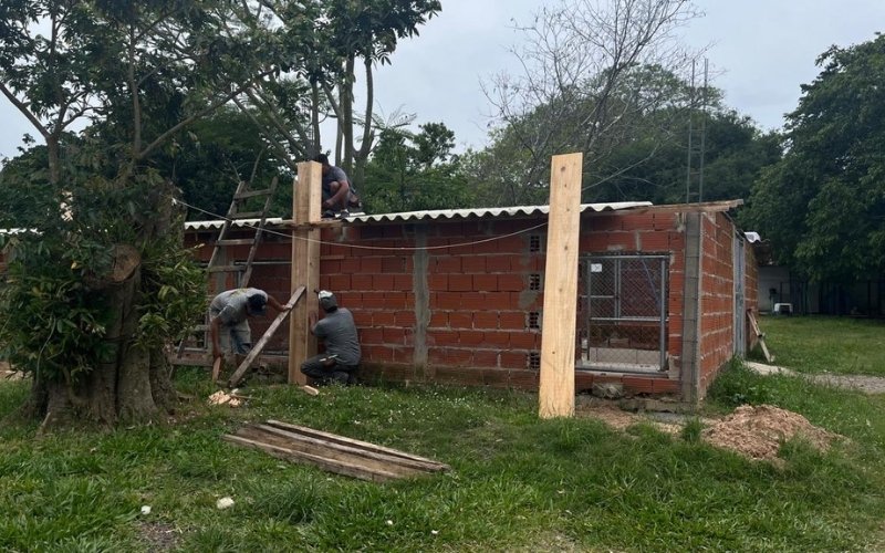 Após mais de um mês de superlotação, Cempra apresenta avanços