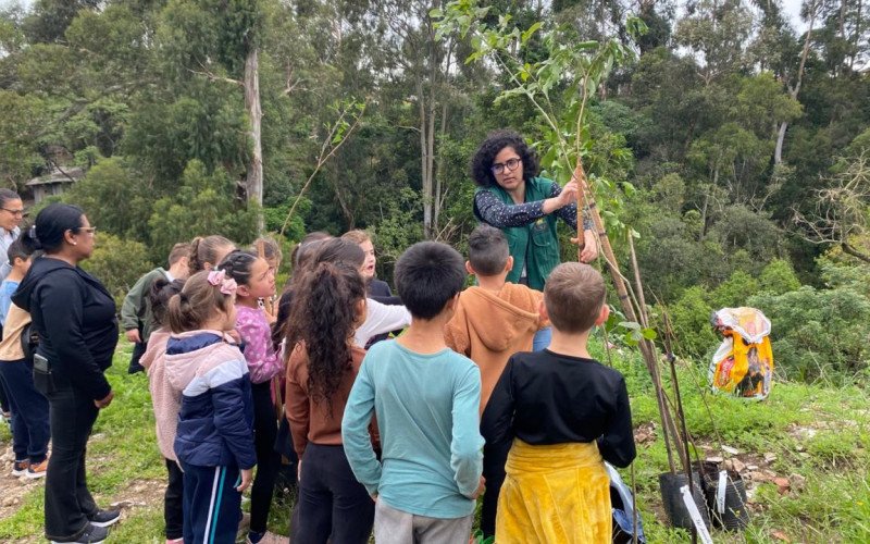 Ecocidadania: alunos da Escola Noeli de Azevedo ajudam na recuperação de mata no Arroio Santa Marta