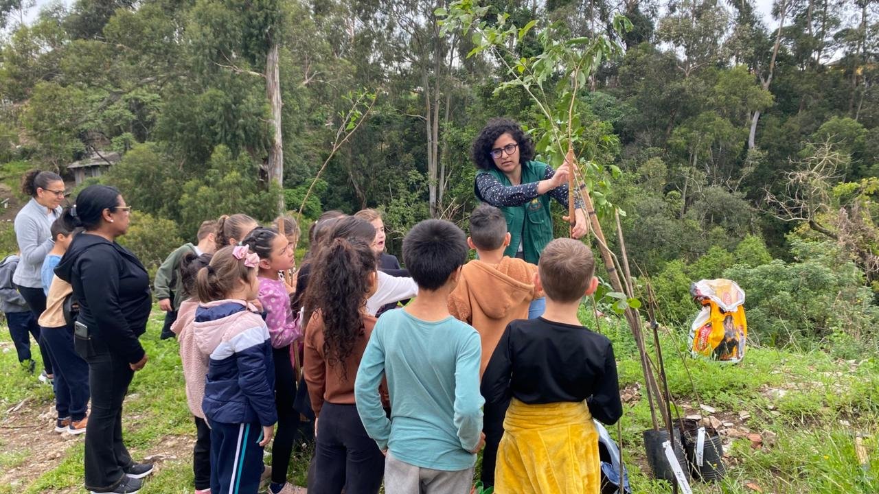 Estudantes de Canela plantam árvores para auxiliar na recuperação da mata ciliar no Arroio Marta