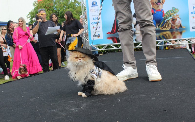 Pet Concurso