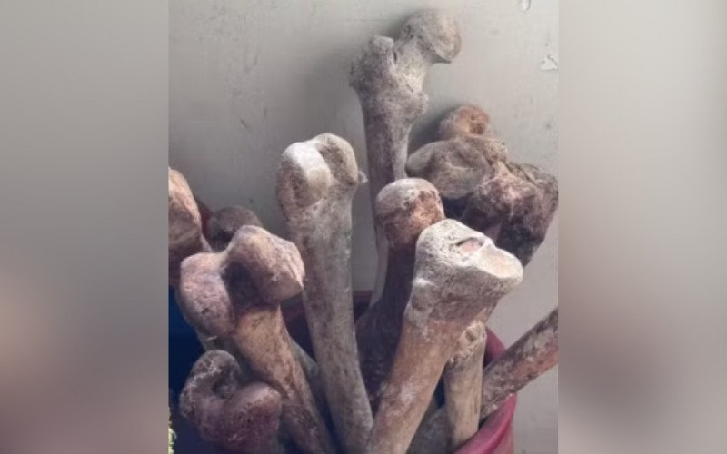 Ossos humanos foram encontrados em apartamento de SP | abc+
