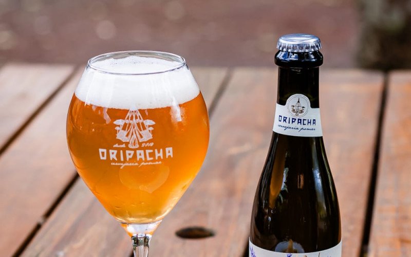 Cerveja de lavanda | abc+