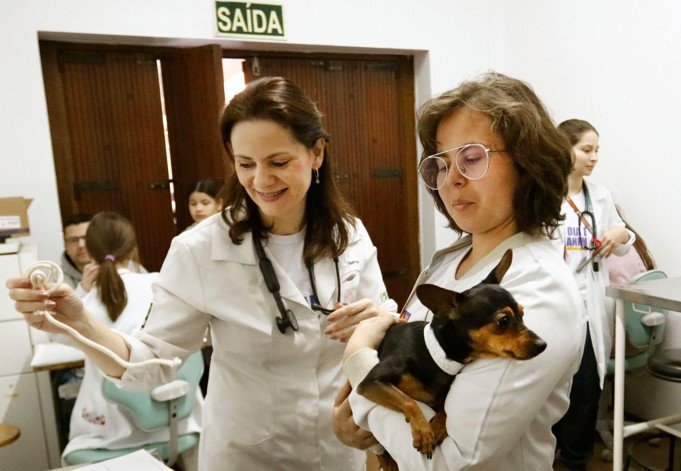 Pinscher estava entre os animais cadastrados no mutirão da Ulbra nesta terça-feira (21)