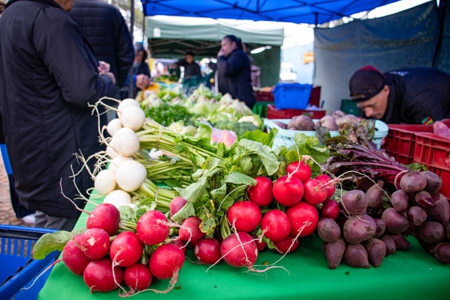 Feira do Alimento Saudável de São Leopoldo terá evento especial neste sábado