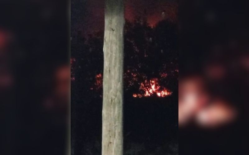 Incêndio em vegetação em Estãncia Velha