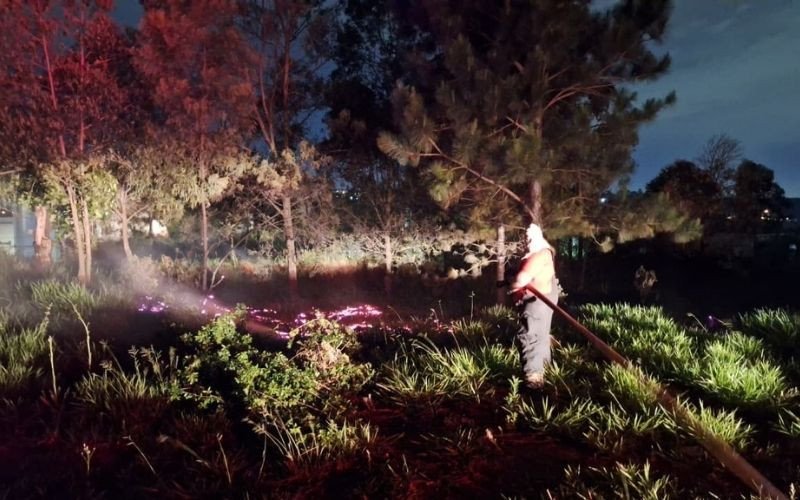 Incêndio em vegetação em Estãncia Velha