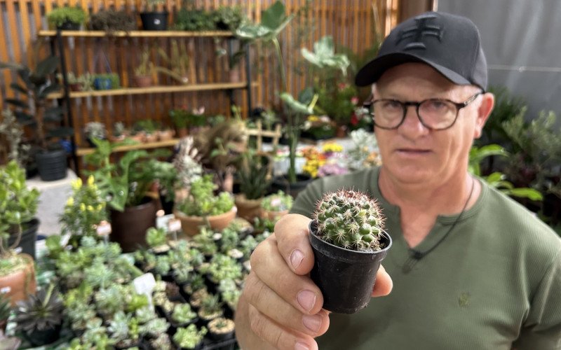 Edemar Nodari destaca alta procura com a quantidade de vezes que precisou fazer reposição de cactos e suculentas: "Somente no sábado (25), tive que sair duas vezes atrás de plantas"