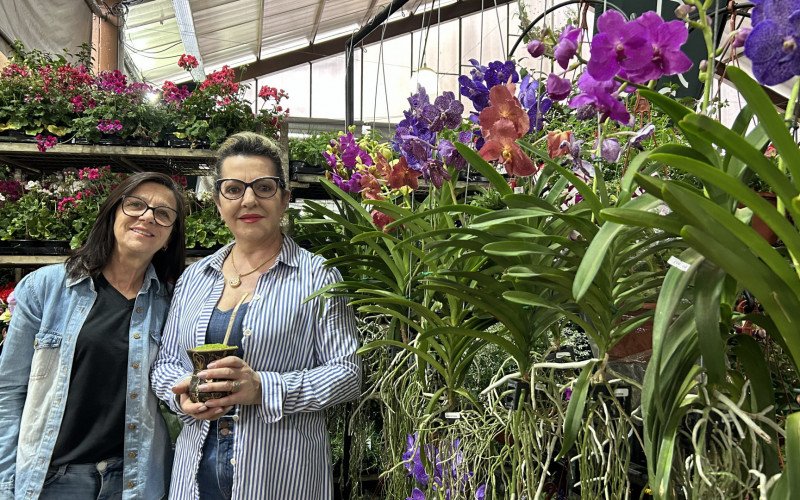 Silvia Regina e colega ao lado de orquídeas Vanda, que chamam a atenção pela beleza exótica das flores e pelas raízes expostas