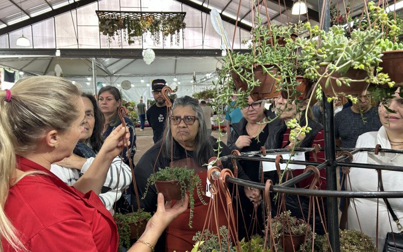 Cactos e as suculentas aparecem como protagonistas e viraram objeto de coleção, o que justifica alta procura durante a feira