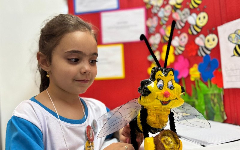 Escola de Caxias do Sul apresenta projeto sobre abelhas | abc+