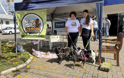 Cempra de Canela promoverá feiras de adoção; saiba como participar