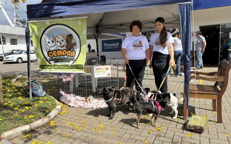 Cempra fará feiras de adoção em Canela