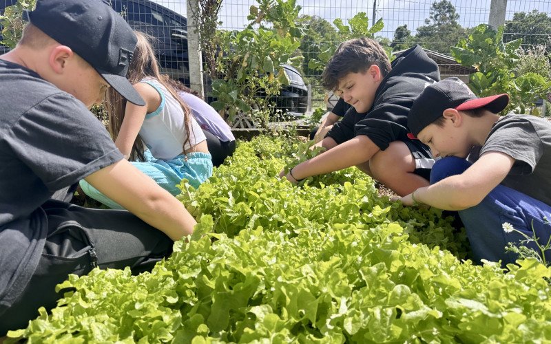 Alunos ajudam no cuidado com a horta da escola Padre Scholl, na Linha Carahá, no interior de Gramado