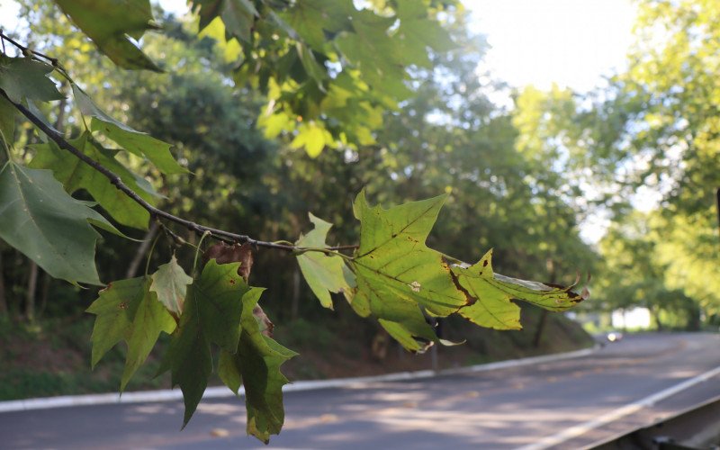 Outono marca início de temperatura amenas, mas por enquanto, o calorão predomina | abc+