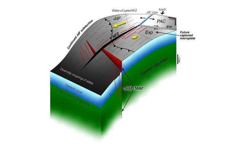 Cientistas bservaram a zona de subducção de Cascadia, na costa da Ilha de Vancouver | abc+