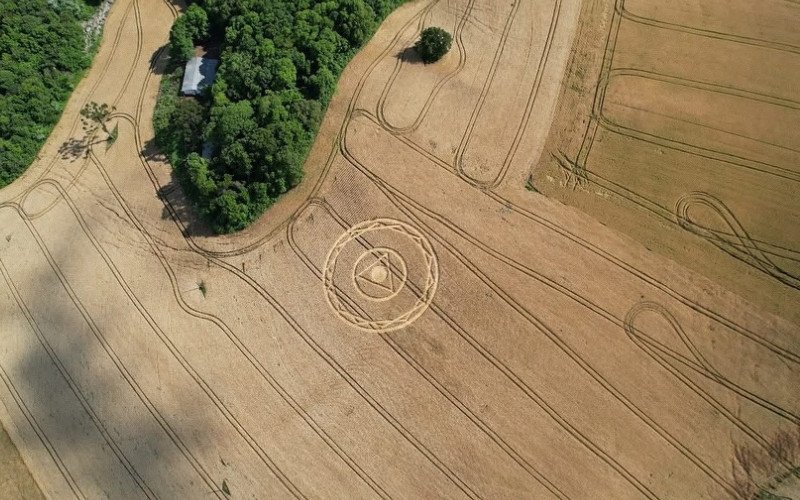 Marca misteriosa em plantação de trigo em Ipuaçu - SC / Santa catarina / agroglifo de ipuaçu