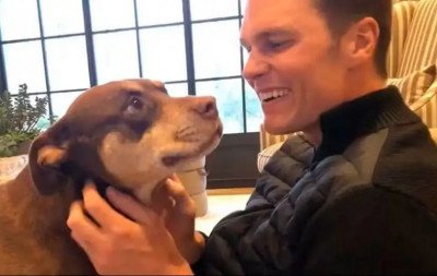 Pet de Tom Brady é clone de cachorra adotada com Gisele Bündchen morta há 2 anos; veja revelação