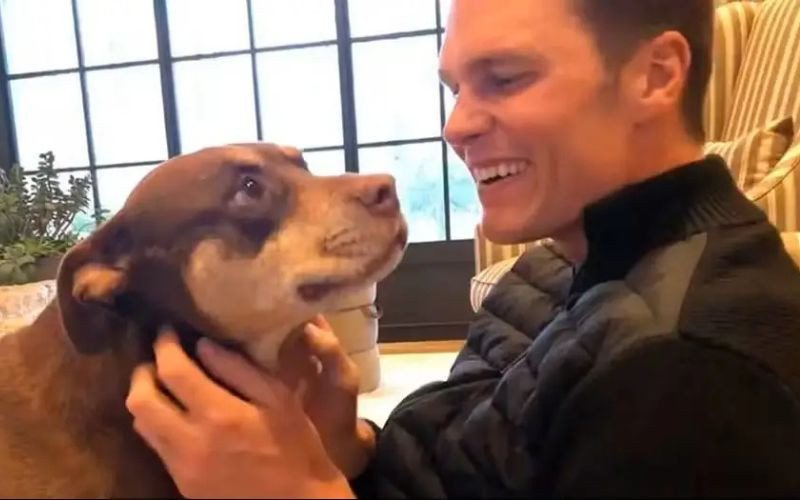 Luna morreu em dezembro de 2023 e Tom Brady decidiu cloná-la | abc+