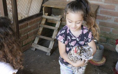 A cultura rural no cotidiano da Emei Lápis Mágico