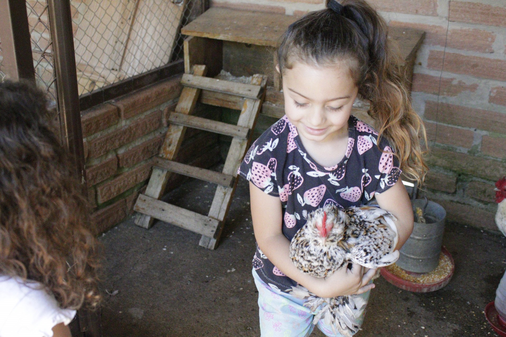 Crianças cuidam dos animais que ficam na escola | abc+