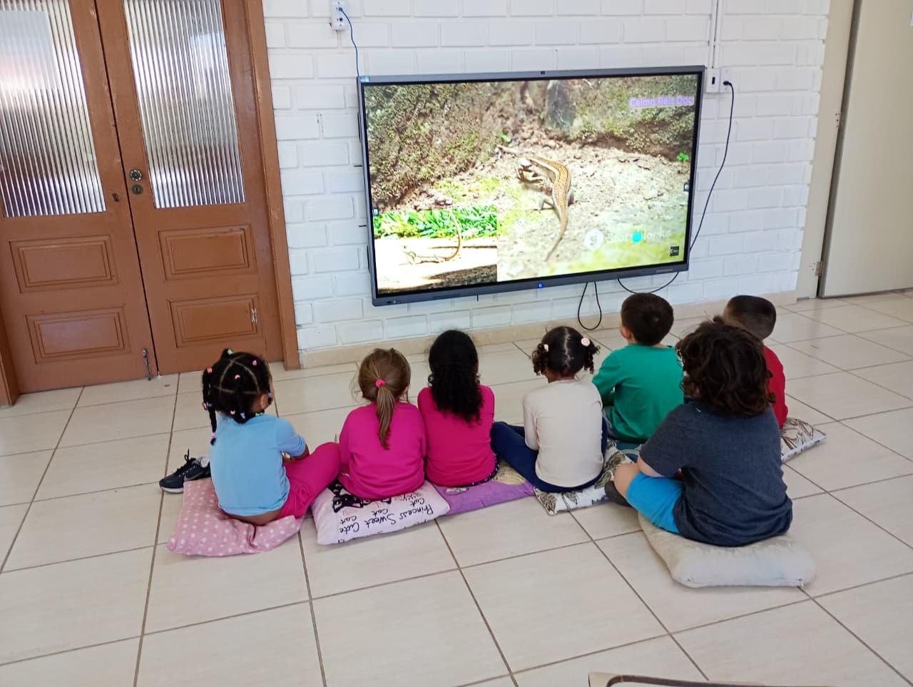 Pequenos aprenderam sobre o ciclo de vida do animal | abc+