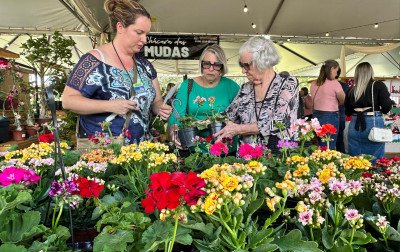 AONDE IR: Festa das Rosas, passeio ciclístico e rústica noturna estão entre as atrações da região neste fim de semana; confira