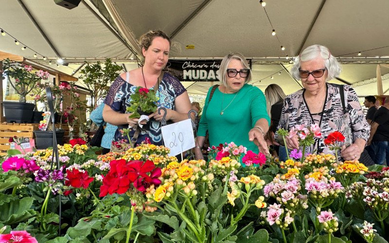 Festa das Rosas em Sapiranga