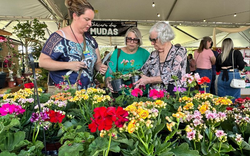Festa das Rosas em Sapiranga | abc+