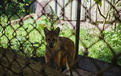 Situação do Parque Zoológico de Sapucaia do Sul motiva pedido de melhorias