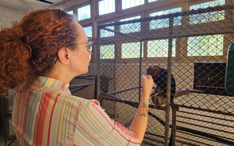 Deputada estadual Luciana Genro visitou Zoológico de Sapucaia do Sul e recintos pequenos do Hospital Veterinário chamaram a atenção