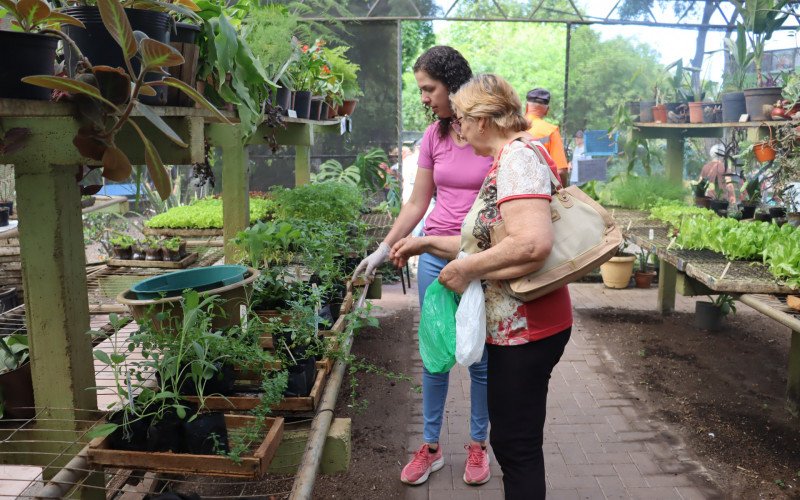 Projeto Floração, em Campo Bom, troca resíduos orgânicos por mudas de hortaliças, temperos e chás, para cultivo em casa | abc+